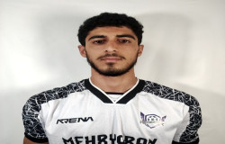 محمدمهدی زارع زرینی