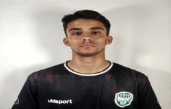 هیمن دارائی