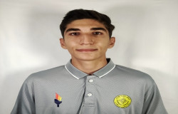 پارسا منصوری