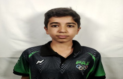 علی پرهام