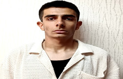 محمدامین احمدی