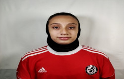 ستایش ادیبی