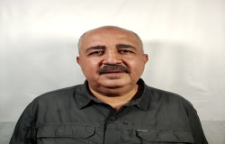 سید مجتبی فاطمی