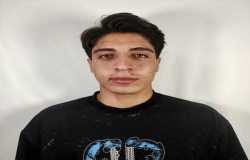رضا طاروردی