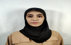 مائده ذکائی