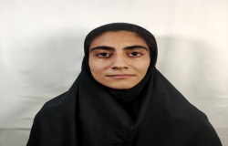 هما سیدمومنی