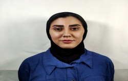 نگین زندکریمی