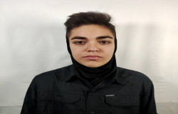 ویستا فرهنگ