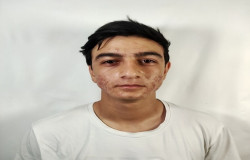 ایلیا ابراهیمی