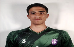 محمد جواد گودرزی