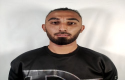 محمد رضا فارابی