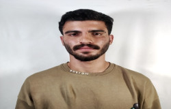 پارسا گنجیان