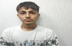 محمدامین مغانلو