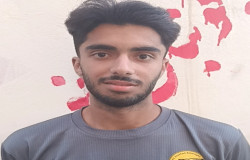 پارسا طالبی