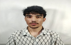 محمد مهیار امانی