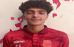 امیرمحمد وزیری دوزین