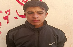 امید دل خانی