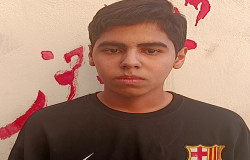 محمدرضا فیوجی