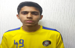 محمدحسین حامدی نسب