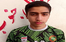 محمد امین اسد ایرانزاده