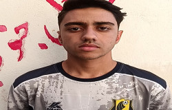 محمد امین اصلانی