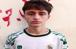 ایلیا ده نویی