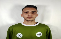 محمد دارابی