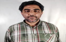 مرتضی کاشفی