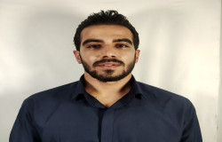 شروین کریمی