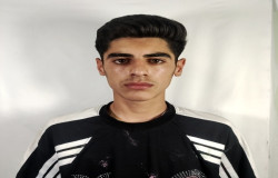 امیر محمد دوستی