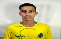 سیدمحمدجواد وجدالی طباطبایی