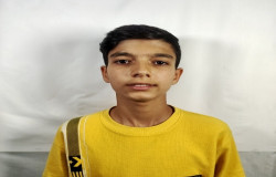 حسین تیموری