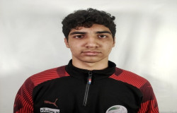 پرهام فیروزی