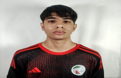 علی حمیدیان