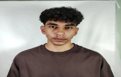 محمد شاوردی