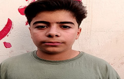 محمد جواد جمشیدی