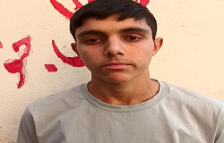 محمدحسین علی محمدی