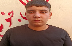 محمدرضا طلاپور