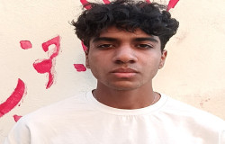 سیدعلی شماسی