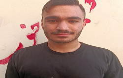 محمد مهدی تیموری