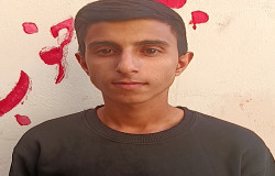 محمد هاشم لو