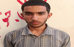 حامد احمدزاده