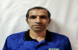 مجید محمودپور