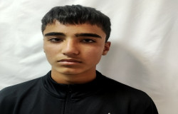 امیرمحمد جمشیدی