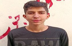 مانی محمودی