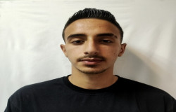 شروین شرفخانی فر