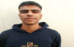 طاها وادی گرد