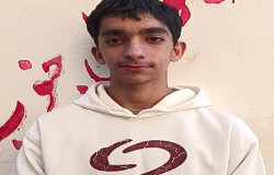 ابوالفضل محمدی فیلی