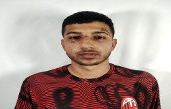 یاشار کوثری