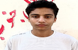 باربد گرشاسبی